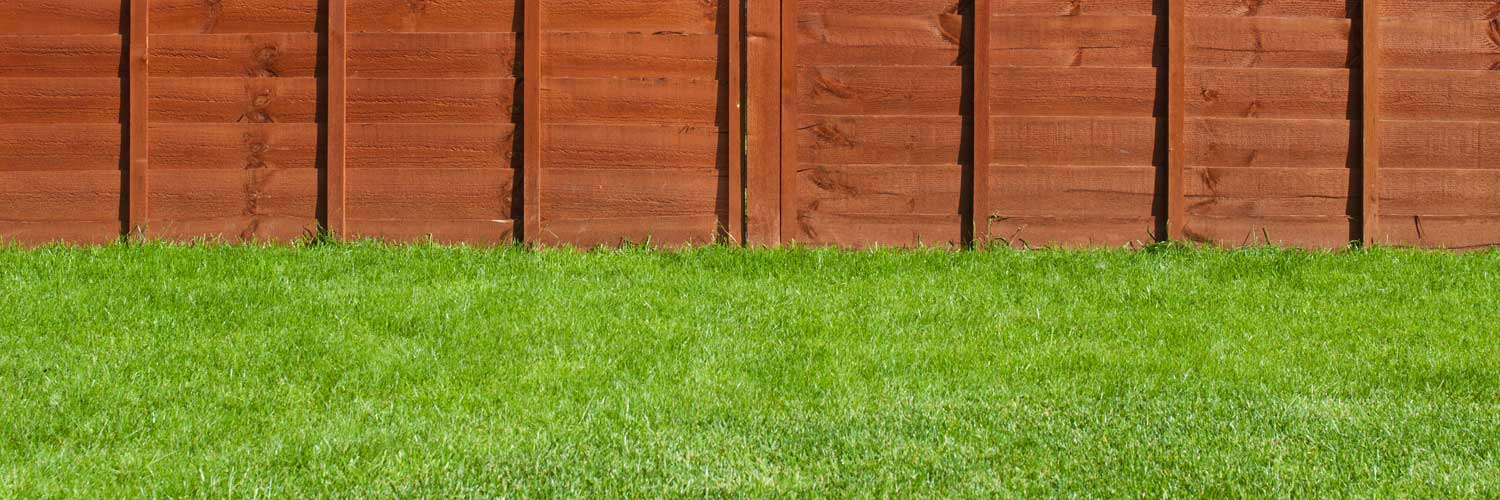 Image of artificial turf by Thanet Building and Groundworks